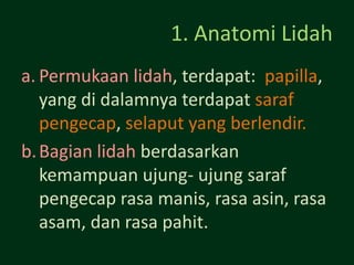 1. Anatomi Lidah
a. Permukaan lidah, terdapat: papilla,
   yang di dalamnya terdapat saraf
   pengecap, selaput yang berlendir.
b. Bagian lidah berdasarkan
   kemampuan ujung- ujung saraf
   pengecap rasa manis, rasa asin, rasa
   asam, dan rasa pahit.
 