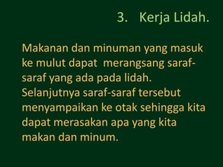 3. Kerja Lidah.

Makanan dan minuman yang masuk
ke mulut dapat merangsang saraf-
saraf yang ada pada lidah.
Selanjutnya saraf-saraf tersebut
menyampaikan ke otak sehingga kita
dapat merasakan apa yang kita
makan dan minum.
 