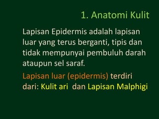 1. Anatomi Kulit
Lapisan Epidermis adalah lapisan
luar yang terus berganti, tipis dan
tidak mempunyai pembuluh darah
ataupun sel saraf.
Lapisan luar (epidermis) terdiri
dari: Kulit ari dan Lapisan Malphigi
 