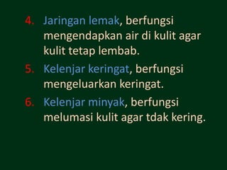 4. Jaringan lemak, berfungsi
   mengendapkan air di kulit agar
   kulit tetap lembab.
5. Kelenjar keringat, berfungsi
   mengeluarkan keringat.
6. Kelenjar minyak, berfungsi
   melumasi kulit agar tdak kering.
 