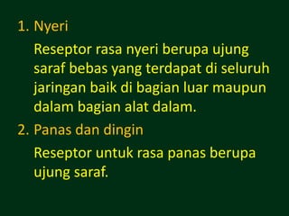 1. Nyeri
   Reseptor rasa nyeri berupa ujung
   saraf bebas yang terdapat di seluruh
   jaringan baik di bagian luar maupun
   dalam bagian alat dalam.
2. Panas dan dingin
   Reseptor untuk rasa panas berupa
   ujung saraf.
 