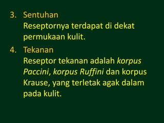 3. Sentuhan
   Reseptornya terdapat di dekat
   permukaan kulit.
4. Tekanan
   Reseptor tekanan adalah korpus
   Paccini, korpus Ruffini dan korpus
   Krause, yang terletak agak dalam
   pada kulit.
 