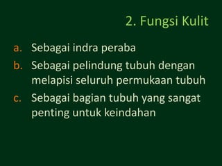 2. Fungsi Kulit
a. Sebagai indra peraba
b. Sebagai pelindung tubuh dengan
   melapisi seluruh permukaan tubuh
c. Sebagai bagian tubuh yang sangat
   penting untuk keindahan
 