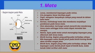 Upil Besar ppt ipa kelompok1 modul10 (1).pptx univeritas terbuka | PPTX