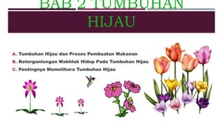 BAB 2 TUMBUHAN 
HIJAU 
A. Tumbuhan Hijau dan Proses Pembuatan Makanan 
B. Ketergantungan Makhluk Hidup Pada Tumbuhan Hijau 
C. Pentingnya Memelihara Tumbuhan Hijau 
 
