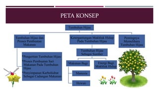 PETA KONSEP 
Tumbuhan Hijau 
Tumbuhan Hijau dan 
Proses Pembuatan 
Makanan 
*Pengertian Tumbuhan Hijau 
*Proses Pembuatan Sari 
..Makanan Pada Tumbuhan 
..Hijau 
*Penyimpanan Karbohidrat 
..Sebagai Cadangan Makanan 
Ketergantungan Makhluk Hidup 
Pada Tumbuhan Hijau 
Tumbuhan Hijau 
Sebagai Sumber 
Makanan Bagi 
Manusia 
Hewan 
Energi Bagi 
Makhluk Hidup 
Pentingnya 
Memelihara 
Tumbuhan Hijau 
 