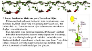 2. Proses Pembuatan Makanan pada Tumbuhan Hijau 
Untuk membuat makanan, tumbuhan hijau membutuhkan sinar 
matahari, air, tanah subur yang mengandung banyak zat hara, dan 
karbon dioksida. Proses tumbuhan hijau dalam membuat makanan 
disebut proses fotosintesis. 
Cara tumbuhan hijau membuat makanan, (Perhatikan Gambar) 
Bulu akar menyerap air dan unsur hara yang terlarut didalamnya. 
Air bergerak melaui xylem bergerak dari akar menuju ke daun. 
Karbon dioksida di udara diserap oleh stomata pada daun. Proses foto-sintesis 
terjadi di klorofil dengan bantuan energi matahari, dalam 
proses fotosintesis dihasilkan oksigen dan glukosa. 
 