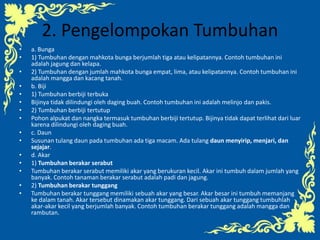 2. Pengelompokan Tumbuhan
• a. Bunga
• 1) Tumbuhan dengan mahkota bunga berjumlah tiga atau kelipatannya. Contoh tumbuhan ini
adalah jagung dan kelapa.
• 2) Tumbuhan dengan jumlah mahkota bunga empat, lima, atau kelipatannya. Contoh tumbuhan ini
adalah mangga dan kacang tanah.
• b. Biji
• 1) Tumbuhan berbiji terbuka
• Bijinya tidak dilindungi oleh daging buah. Contoh tumbuhan ini adalah melinjo dan pakis.
• 2) Tumbuhan berbiji tertutup
• Pohon alpukat dan nangka termasuk tumbuhan berbiji tertutup. Bijinya tidak dapat terlihat dari luar
karena dilindungi oleh daging buah.
• c. Daun
• Susunan tulang daun pada tumbuhan ada tiga macam. Ada tulang daun menyirip, menjari, dan
sejajar.
• d. Akar
• 1) Tumbuhan berakar serabut
• Tumbuhan berakar serabut memiliki akar yang berukuran kecil. Akar ini tumbuh dalam jumlah yang
banyak. Contoh tanaman berakar serabut adalah padi dan jagung.
• 2) Tumbuhan berakar tunggang
• Tumbuhan berakar tunggang memiliki sebuah akar yang besar. Akar besar ini tumbuh memanjang
ke dalam tanah. Akar tersebut dinamakan akar tunggang. Dari sebuah akar tunggang tumbuhlah
akar-akar kecil yang berjumlah banyak. Contoh tumbuhan berakar tunggang adalah mangga dan
rambutan.
 