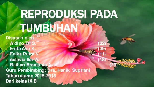 Reproduksi Tumbuhan
