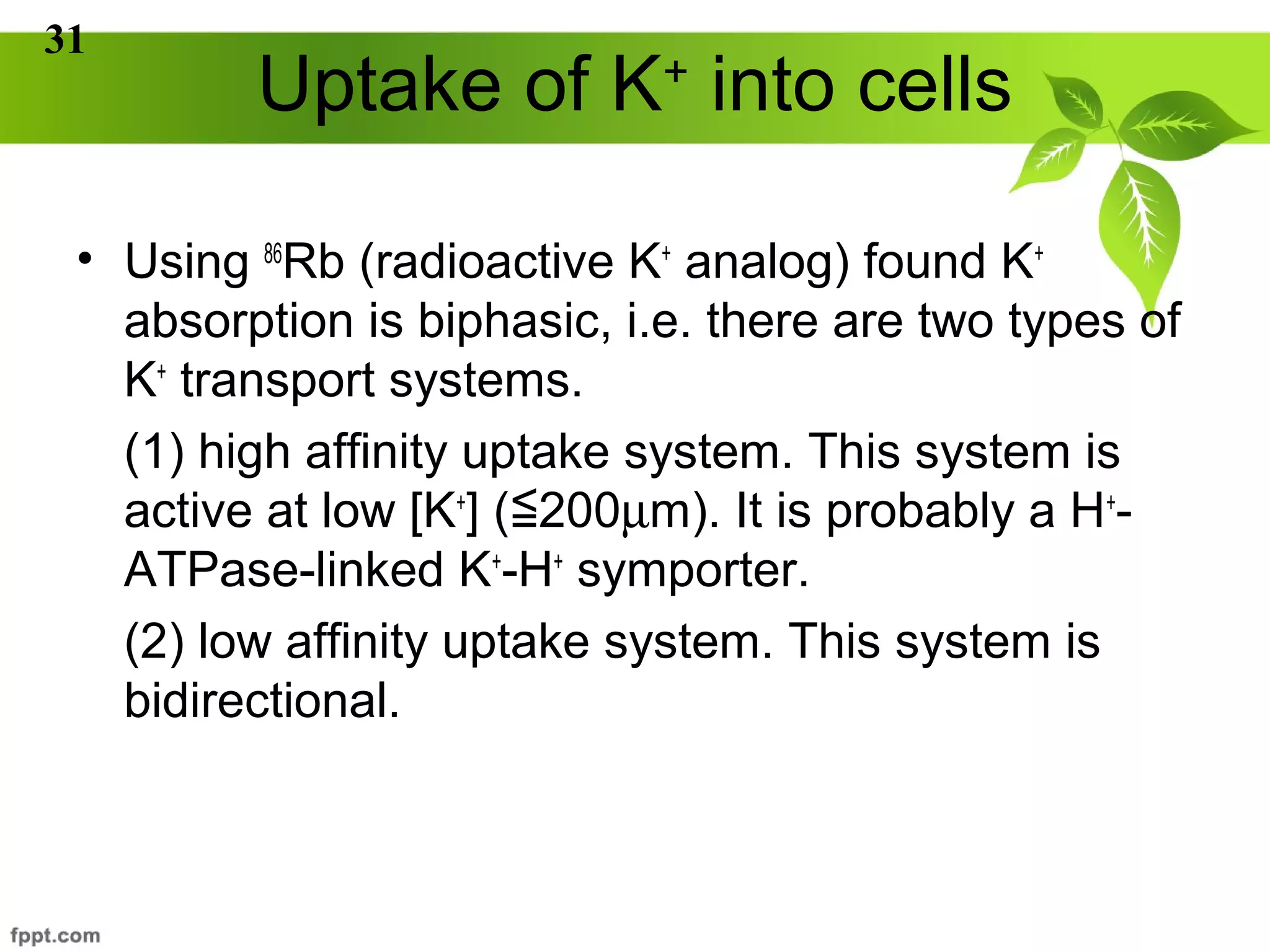 Acquisition of K in Plants | PPT