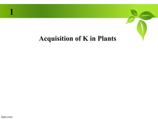 1

    Acquisition of K in Plants
 
