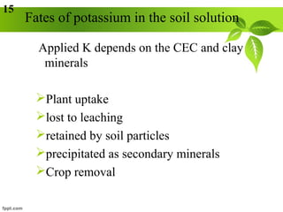 Acquisition of K in Plants | PPT