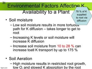 Acquisition of K in Plants | PPT