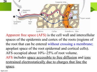 Acquisition of K in Plants | PPT