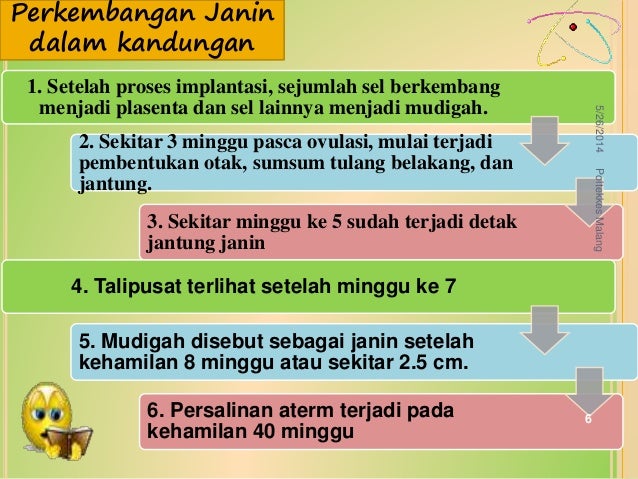 Keputihan Saat Hamil 8 Bulan Ibuhamil Com