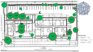 PROPERTY
Existing Tree Plan - 2022
Removals
• Non-H = 14
• Heritage = 11
• Inches = 272
 