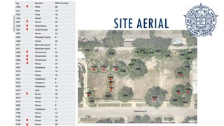 SITE AERIAL
 