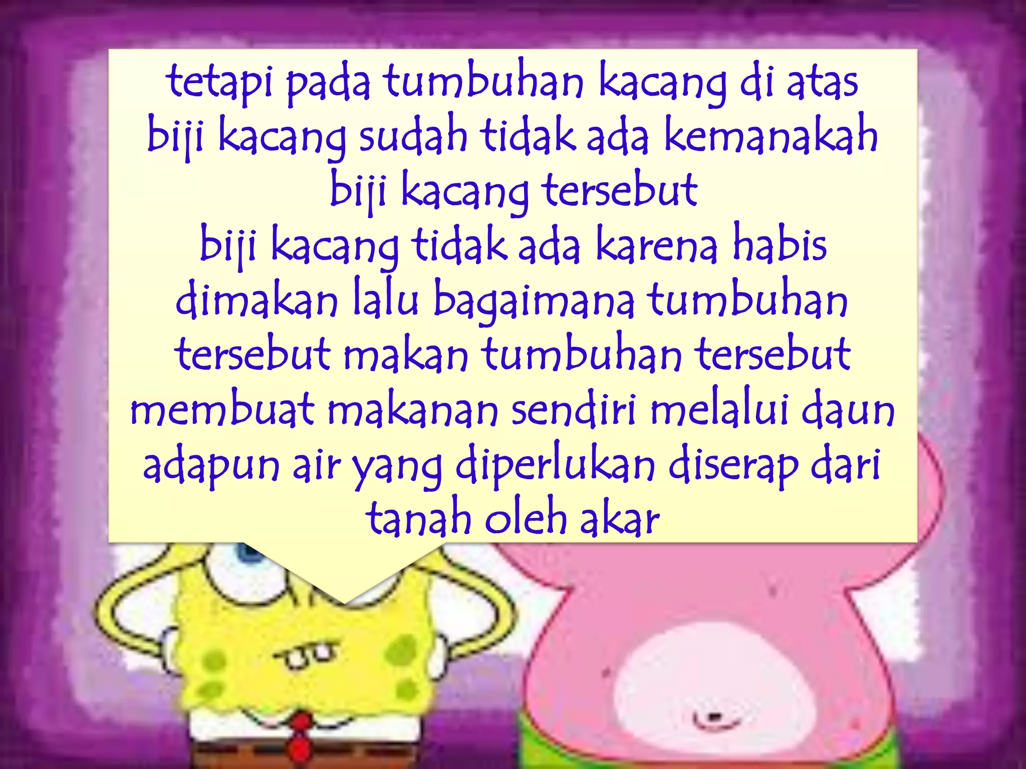 tetapi pada tumbuhan kacang di atas 
biji kacang sudah tidak ada kemanakah biji kacang tersebut 
biji kacang tidak ada karena habis dimakan lalu bagaimana tumbuhan tersebut makan tumbuhan tersebut 
membuat makanan sendiri melalui daun adapun air yang diperlukan diserap dari tanah oleh akar  