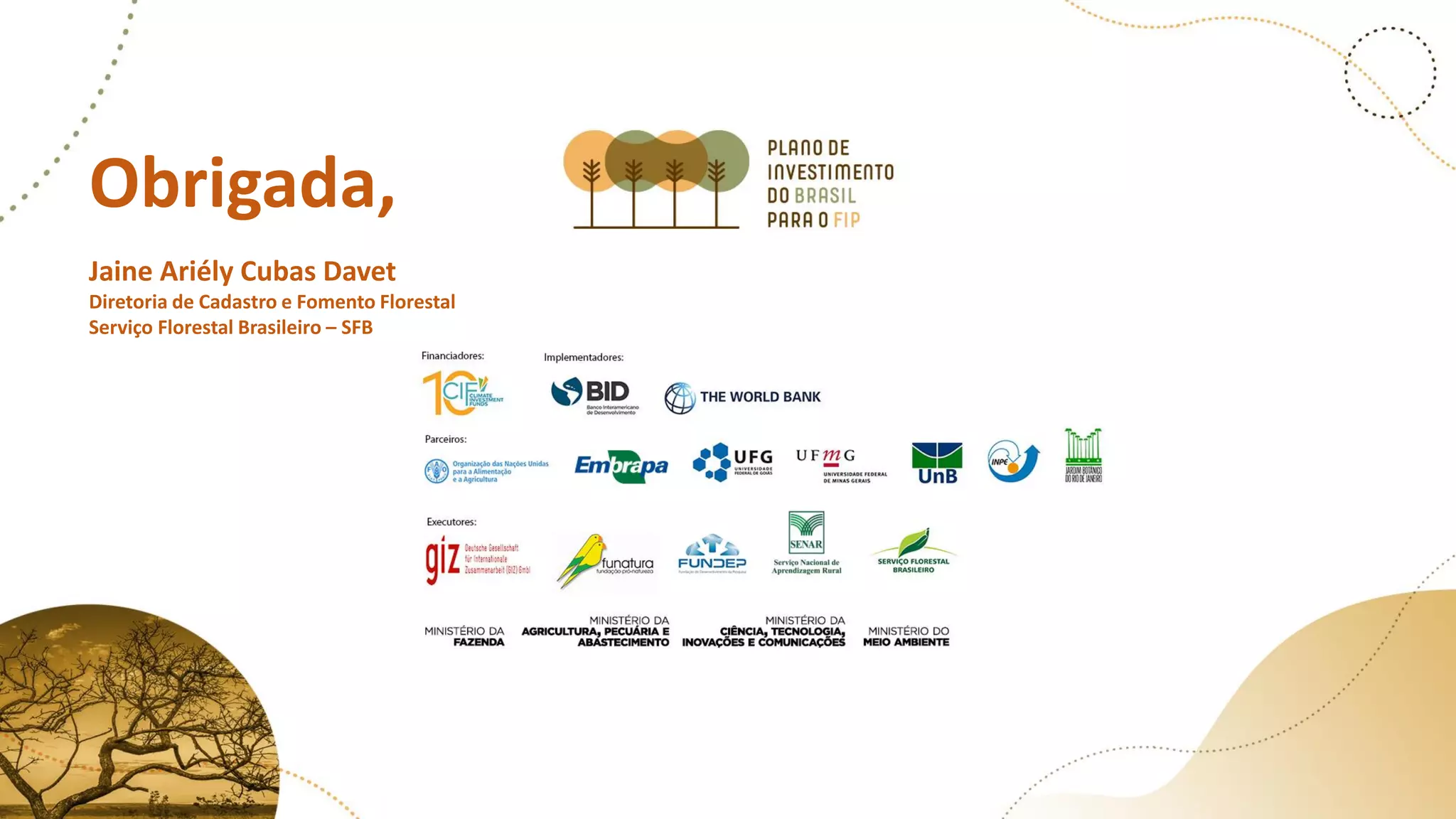 Obrigada,
Jaine Ariély Cubas Davet
Diretoria de Cadastro e Fomento Florestal
Serviço Florestal Brasileiro – SFB
 