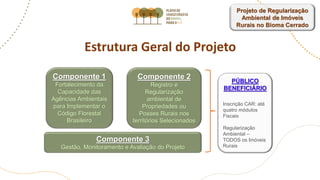 Projeto de Regularização
Ambiental de Imóveis
Rurais no Bioma Cerrado
Estrutura Geral do Projeto
Componente 1
Fortalecimento da
Capacidade das
Agências Ambientais
para Implementar o
Código Florestal
Brasileiro
Componente 2
Registro e
Regularização
ambiental de
Propriedades ou
Posses Rurais nos
territórios Selecionados
PÚBLICO
BENEFICIÁRIO
Inscrição CAR: até
quatro módulos
Fiscais
Regularização
Ambiental –
TODOS os Imóveis
Rurais
Componente 3
Gestão, Monitoramento e Avaliação do Projeto
 