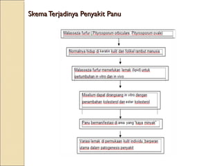 Skema Terjadinya Penyakit PanuSkema Terjadinya Penyakit Panu
 