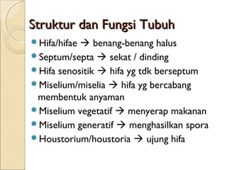 Struktur dan Fungsi TubuhStruktur dan Fungsi Tubuh
Hifa/hifae  benang-benang halus
Septum/septa  sekat / dinding
Hifa senositik  hifa yg tdk berseptum
Miselium/miselia  hifa yg bercabang
membentuk anyaman
Miselium vegetatif  menyerap makanan
Miselium generatif  menghasilkan spora
Houstorium/houstoria  ujung hifa
 
