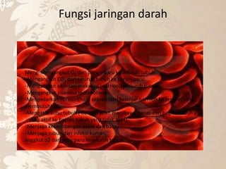 Fungsi jaringan darah
-
Meng-Mengangkut O2 dari paru – paru ke seluruh tubuh.
-Mengangkut CO2 dari seluruh tubuh ke paru – paru.
-Mengangkut sari–sari makanan (nutrien)keseluruh tubuh.
-Mengangkut sisa–sisa metabolisme.
-Mengedarkan hormon(hasil sekresi)dari kelenjar hormon ke tempat yang
membutuhkan.
-Mengatur suhu tubuh ( dengan jalan membawa panas dari bagian tubuh y
yang aktif ke bagian tubuh yang tidak aktif).
-Menjaga keseimbangan asam dan basa.
-Menjaga tubuh dari infeksi kuman.
anggkut o2 dari paru paru keseluruh tubuh
 