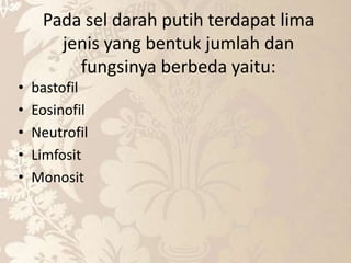 Pada sel darah putih terdapat lima
jenis yang bentuk jumlah dan
fungsinya berbeda yaitu:
• bastofil
• Eosinofil
• Neutrofil
• Limfosit
• Monosit
 