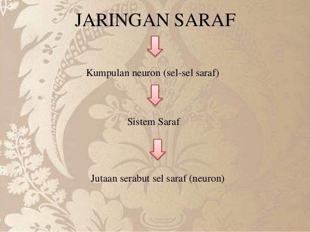 Ppt jaringan saraf dan darah
