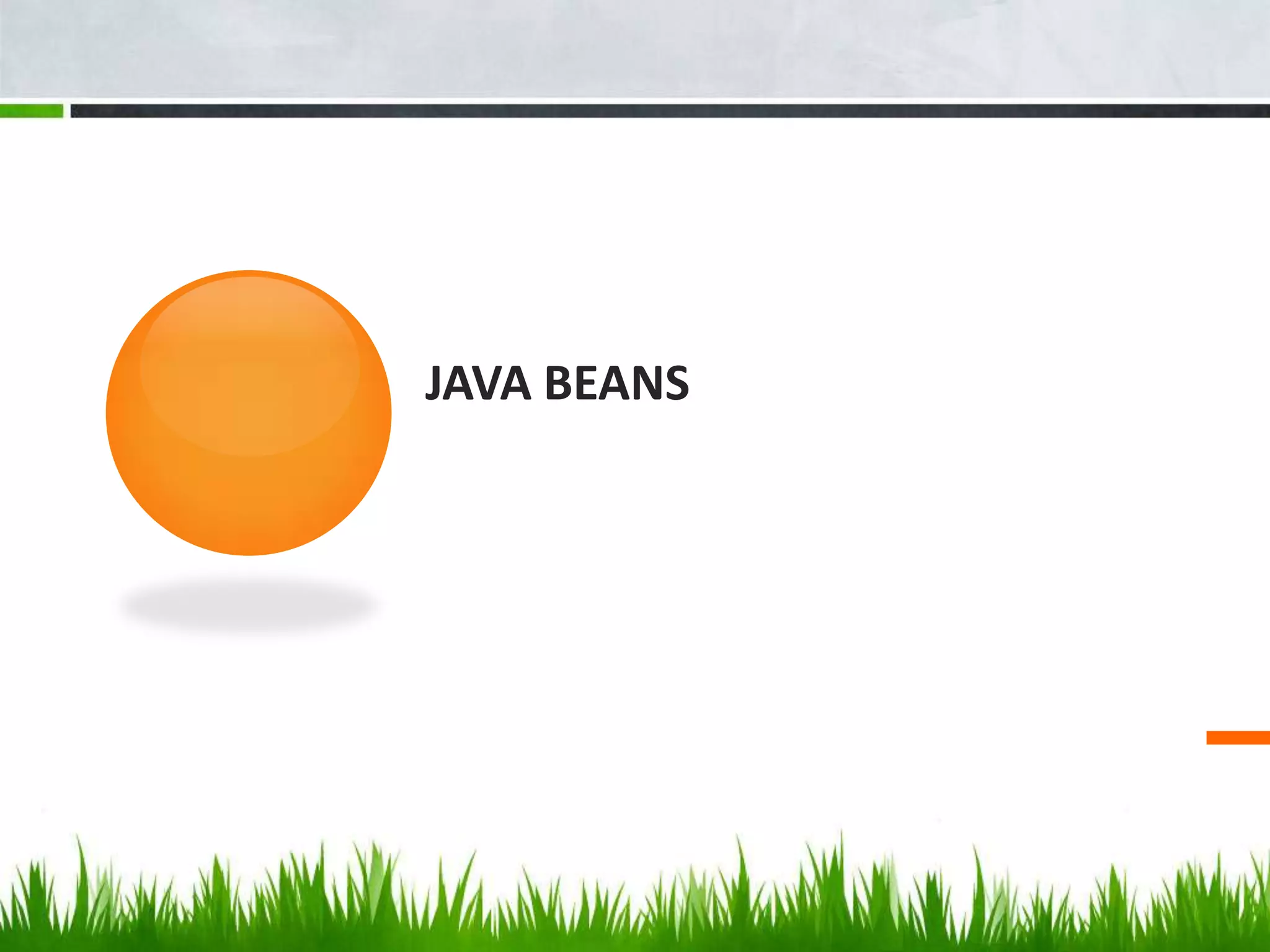 JAVA BEANS
 