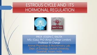 ESTROUS CYCLE AND ITS
HORMONAL REGULATION
PROF. JOGEN C. KALITA
MSc (Gau), PhD (King’s College London)
Professor in-Charge
Animal Physiology & Biochemistry Lab.
Dept. of Zoology, Gauhati University,
Guwahati, Assam, India
 