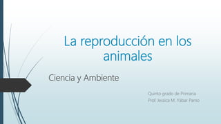 La reproducción en los
animales
Ciencia y Ambiente
Quinto grado de Primaria
Prof. Jessica M. Yábar Pamo
 