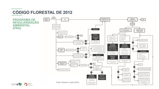 11
CÓDIGO FLORESTAL DE 2012
PROGRAMA DE
REGULARIZAÇÃO
AMBIENTAL
(PRA)
Fonte: Chiavari e Lopes (2015)
 