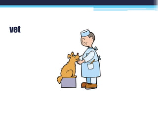 vet
 