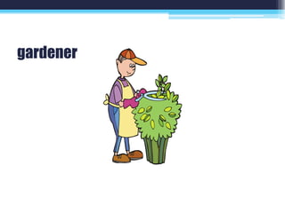 gardener
 