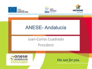 ANESE- Andalucía 
Juan-Carlos Cuadrado 
President 
 