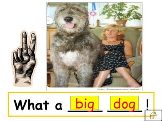 big dog
What a ____ ____ !