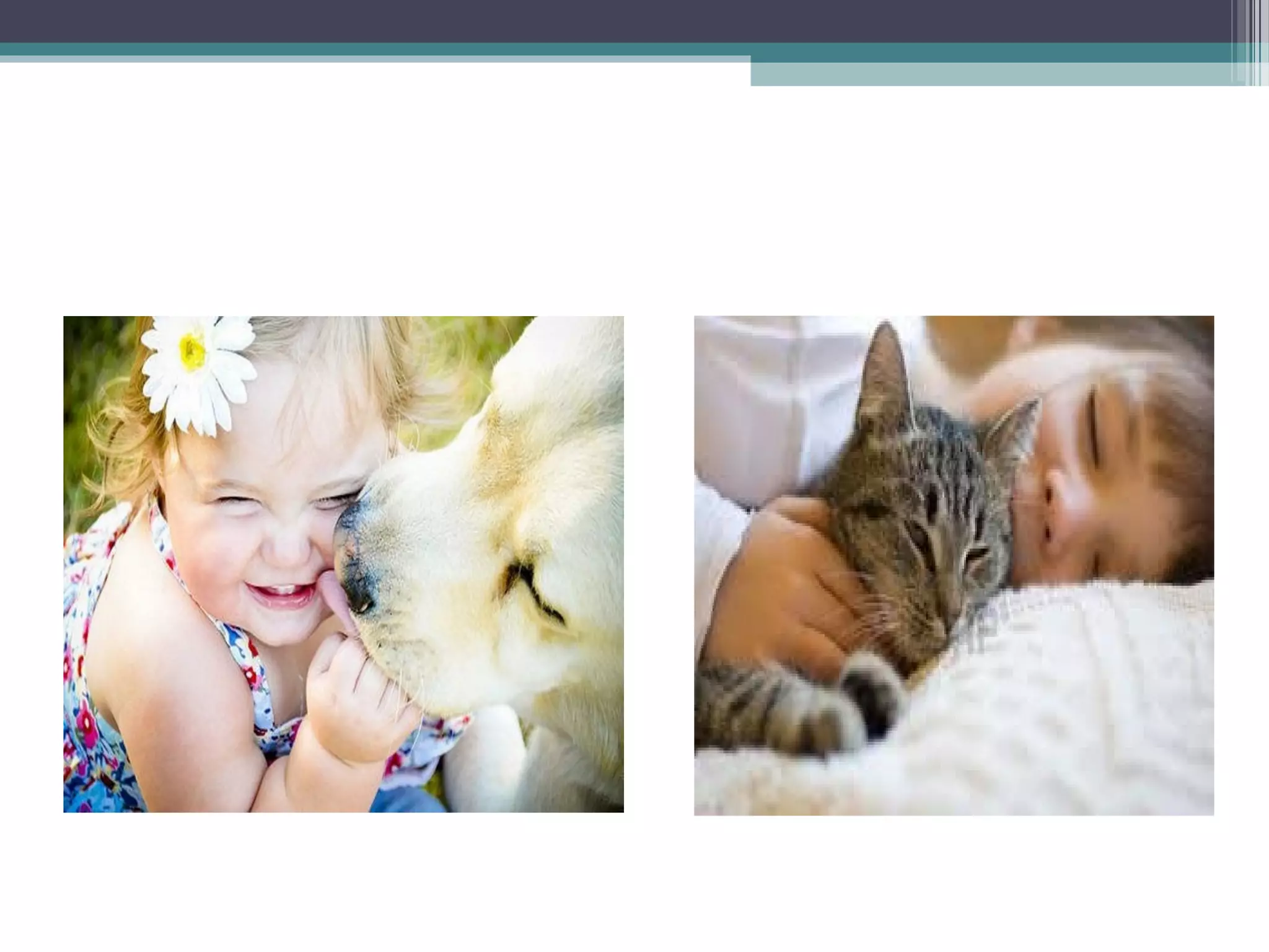 bioethics & survival but for whom?