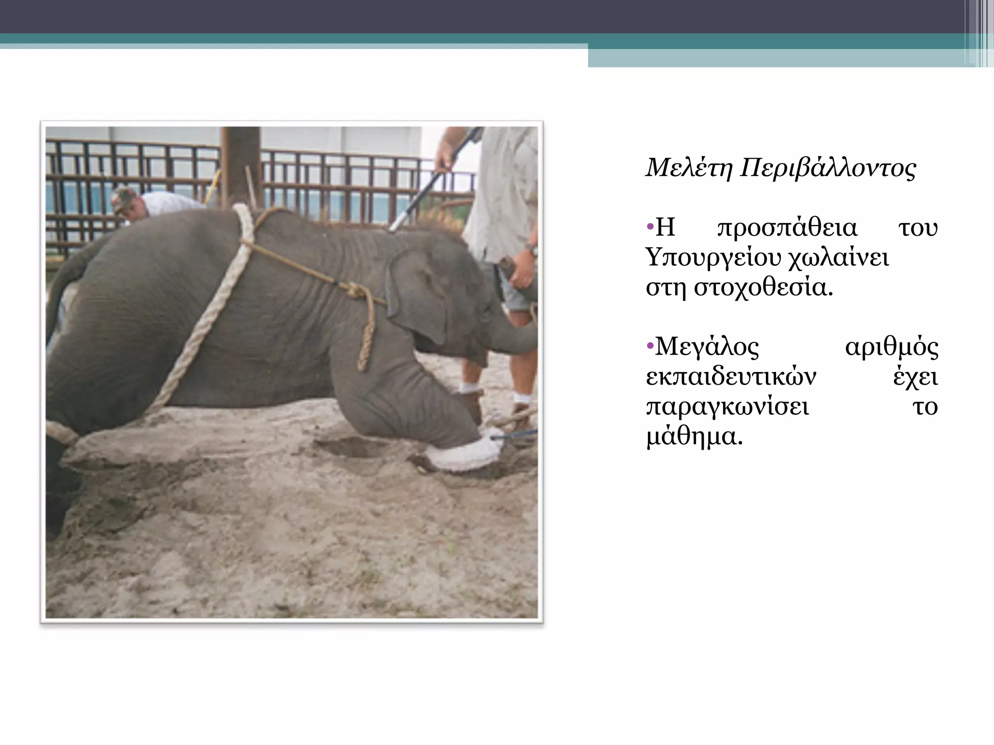 Μελέτη Περιβάλλοντος
•Η προσπάθεια του
Υπουργείου χωλαίνει
στη στοχοθεσία.
•Μεγάλος αριθμός
εκπαιδευτικών έχει
παραγκωνίσει το
μάθημα.
 