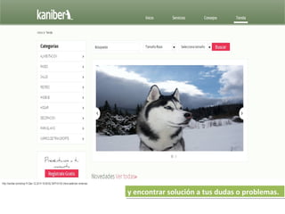 y encontrar solución a tus dudas o problemas.y encontrar solución a tus dudas o problemas.
 