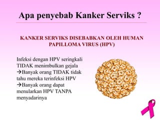 Apa penyebab Kanker Serviks ?
KANKER SERVIKS DISEBABKAN OLEH HUMAN
PAPILLOMA VIRUS (HPV)
Infeksi dengan HPV seringkali
TIDAK menimbulkan gejala
Banyak orang TIDAK tidak
tahu mereka terinfeksi HPV
Banyak orang dapat
menularkan HPV TANPA
menyadarinya
 