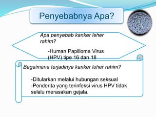Penyebabnya Apa?
Bagaimana terjadinya kanker leher rahim?
-Ditularkan melalui hubungan seksual
-Penderita yang terinfeksi virus HPV tidak
selalu merasakan gejala.
Apa penyebab kanker leher
rahim?
-Human Papilloma Virus
(HPV) tipe 16 dan 18
 