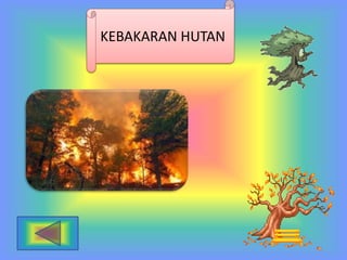 KEBAKARAN HUTAN