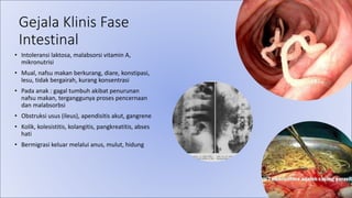 Gejala Klinis Fase
Intestinal
• Intoleransi laktosa, malabsorsi vitamin A,
mikronutrisi
• Mual, nafsu makan berkurang, diare, konstipasi,
lesu, tidak bergairah, kurang konsentrasi
• Pada anak : gagal tumbuh akibat penurunan
nafsu makan, terganggunya proses pencernaan
dan malabsorbsi
• Obstruksi usus (ileus), apendisitis akut, gangrene
• Kolik, kolesistitis, kolangitis, pangkreatitis, abses
hati
• Bermigrasi keluar melalui anus, mulut, hidung
 