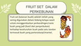 Frit Set PPT Kel.10 Frit set.pptx