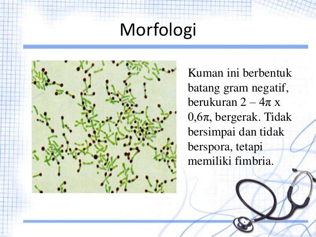 Image Result For Difteri Adalah Image Result For Difteri Adalah