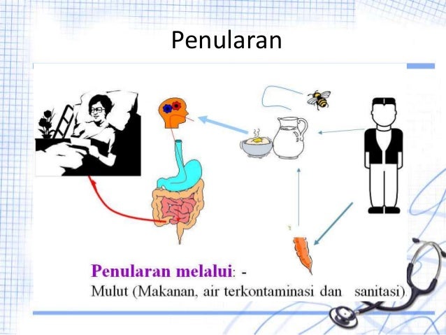 Demam Typhoid Disentri Difteri