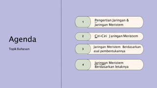 Agenda
TopikBahasan
1
Pengertian Jaringan &
Jaringan Meristem
2 Ciri-Ciri J aringan Meristem
3
Jaringan Meristem Berdasarkan
asal pembentukannya
4
Jaringan Meristem
Berdasarkan letaknya
 