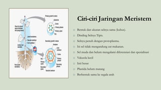 o Bentuk dan ukuran selnya sama (kubus).
o Dinding Selnya Tipis.
o Selnya penuh dengan protoplasma.
o Isi sel tidak mengandung zat makanan.
o Sel muda dan belum mengalami diferensiasi dan spesialisasi
o Vakuola kecil
o Inti besar
o Plastida belum matang
o Berbentuk sama ke segala arah
Ciri-ciri Jaringan Meristem
 