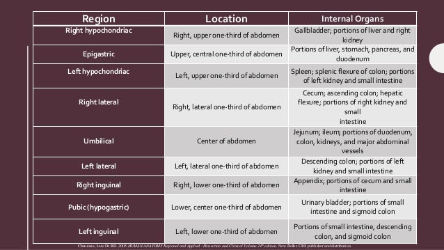 Right Hypochondriac Region Diseases - ovulation symptoms